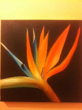 classic_bird_of_ paradise_kopie